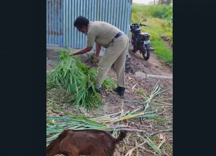 ಮಾನವೀಯತೆ ಮೆರೆದ ರಾಯಬಾಗ ಪೊಲೀಸ್ ಅಧಿಕಾರಿ…!